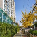 대원아파트산책로 이미지