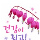 소요유 이미지