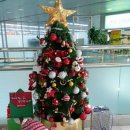 삼일어린이집 이미지