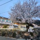 노을 펜션 민박 이미지