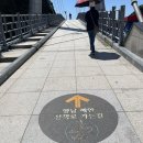 도동길 | 울릉도 뚜벅이 여행) 2. 1일차. 울릉크루즈, 행남해안산책로, 까치식당 후기.