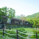 힐리언스 이미지