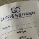 24시청주다옴동물의료센터 | 청주 24시 동물병원 다옴 동물의료센터 쓸개골 , 십자인대 파열 비용 수술 후기