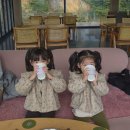 이지마트 | 제천 엘림캠핑장 이지캠핑 후기｜짐 없이 즐기는 가족 캠핑