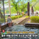충주 수안보 족욕체험장 후기 초등 아이와 무료 온천 족욕장 추천