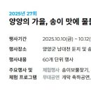 양양송이 - 양양군 남문3길 14 | 양양송이