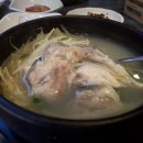 힘찬 민물 장어 이미지