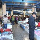 죽도시장 이미지