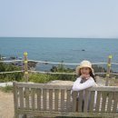 간절곶 풍차 이미지