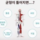 셀핏 이미지