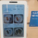 프레쎈트 | 제주도 프레쎈트카페 와플