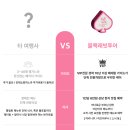 래빗투어