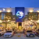 장어의 꿈 이미지