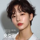 숏컷펌 해본 오리들아 이미지