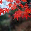 마산여자중학교 이미지