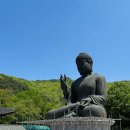 남북인연결혼 | 천안 봄 사찰 여행지 추천｜각원사 겹벚꽃과 대불을 만나다