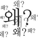 신데렐라피부관리실 네이버블로그