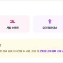 문화비2_카카오페이