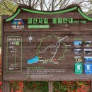 금산사길 티스토리