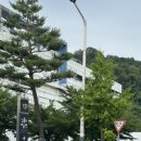 옛그림민화그리기