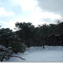 구룡산정상 이미지