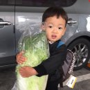 상궁농장 이미지