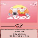 국가대표 스페셜태권도장 이미지