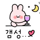 보람동_세종시청 후문 이미지