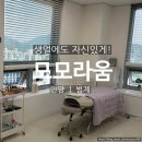[안양/범계] 안양 범계 속눈썹 장인 시술 모모라움 첫 시술 솔직후기