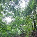 마니산(기도원) | 산행기 : 강화 마니산(85)