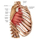 원트레이닝 센터 이미지