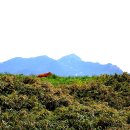 영산도명품마을 이미지