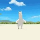 구마족발 - 인제군 원통로 260 | 구마족발
