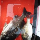 남해-318 이미지