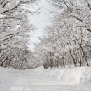 미식&포토스팟 코스 이미지