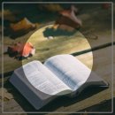 민들레민속주점 | 건대 도심 속 전통 주점 민들레 홀씨