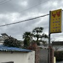 수내1길 이미지