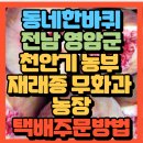 빗바위 농장 2농장 | 동네 한 바퀴 전라남도 영암군 늦둥이 4남매 아빠 재래종 무화과 농장 택배주문방법