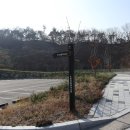 초평생활체육공원 이미지