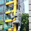 365노래연습장 이미지