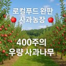 사과나무부동산공인중개사사무소 이미지