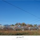 마정2리 이미지