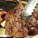 금성숯불갈비 네이버블로그