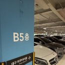 84 | 대구신세계백화점맛집 경성84 후기, 동대구역맛집 대구중식 추천