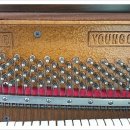 분당-118 이미지