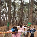 관당초등학교 이미지