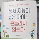 빌리버튼 | 정서지능이 높은 아이는 흔들리지 않는다 / 박경미 / 빌리버튼