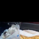 하슬라동물병원 이미지