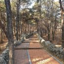 경천슈퍼 자판기 | #상주 데이트 : 경천대국민관광지