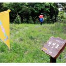 아라메길(1) 이미지